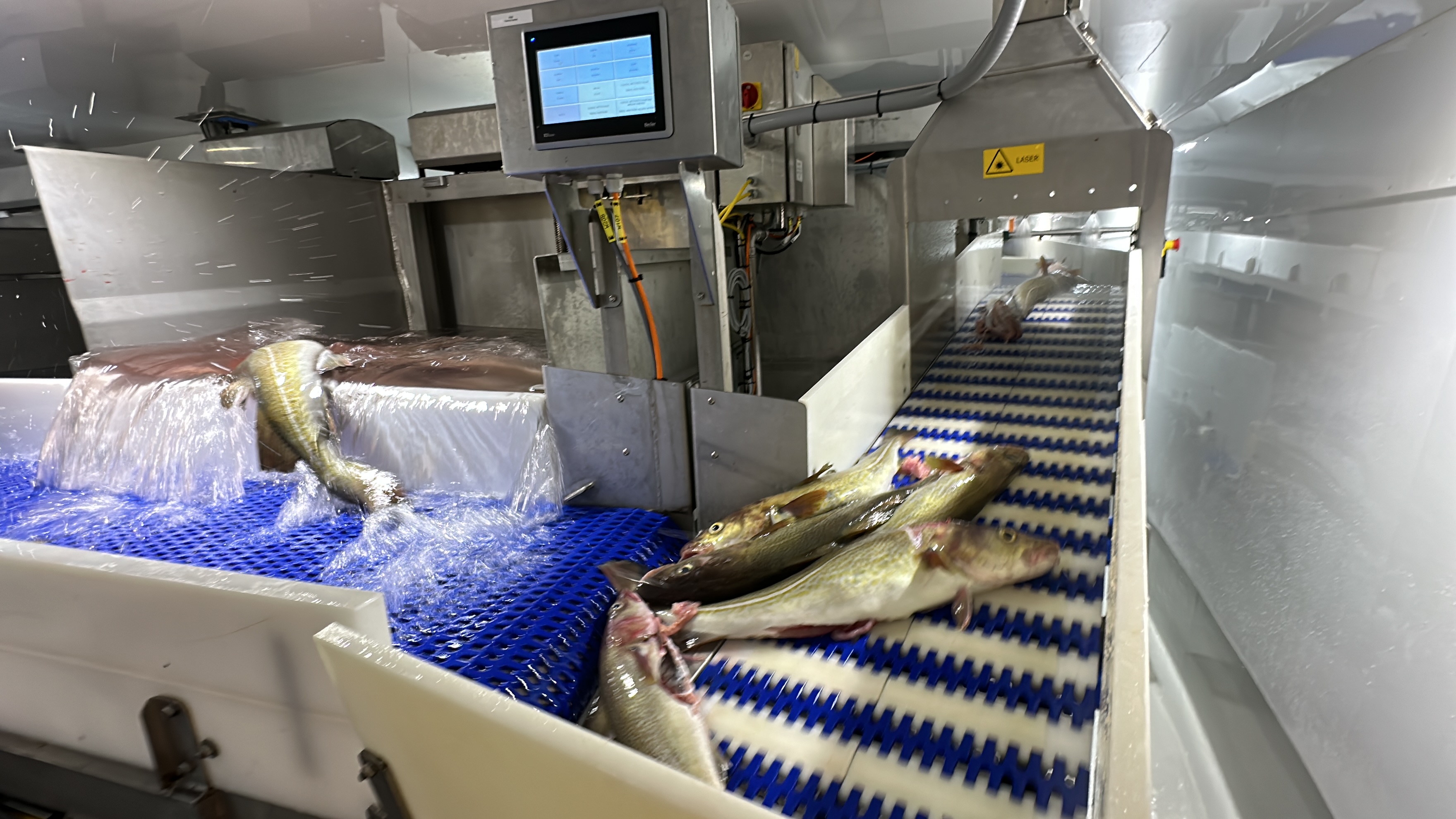 Alternative view of Fabrikk - Frys